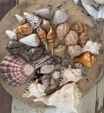 Conch Shell Crafts